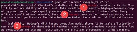 Limiting the Output of grep .